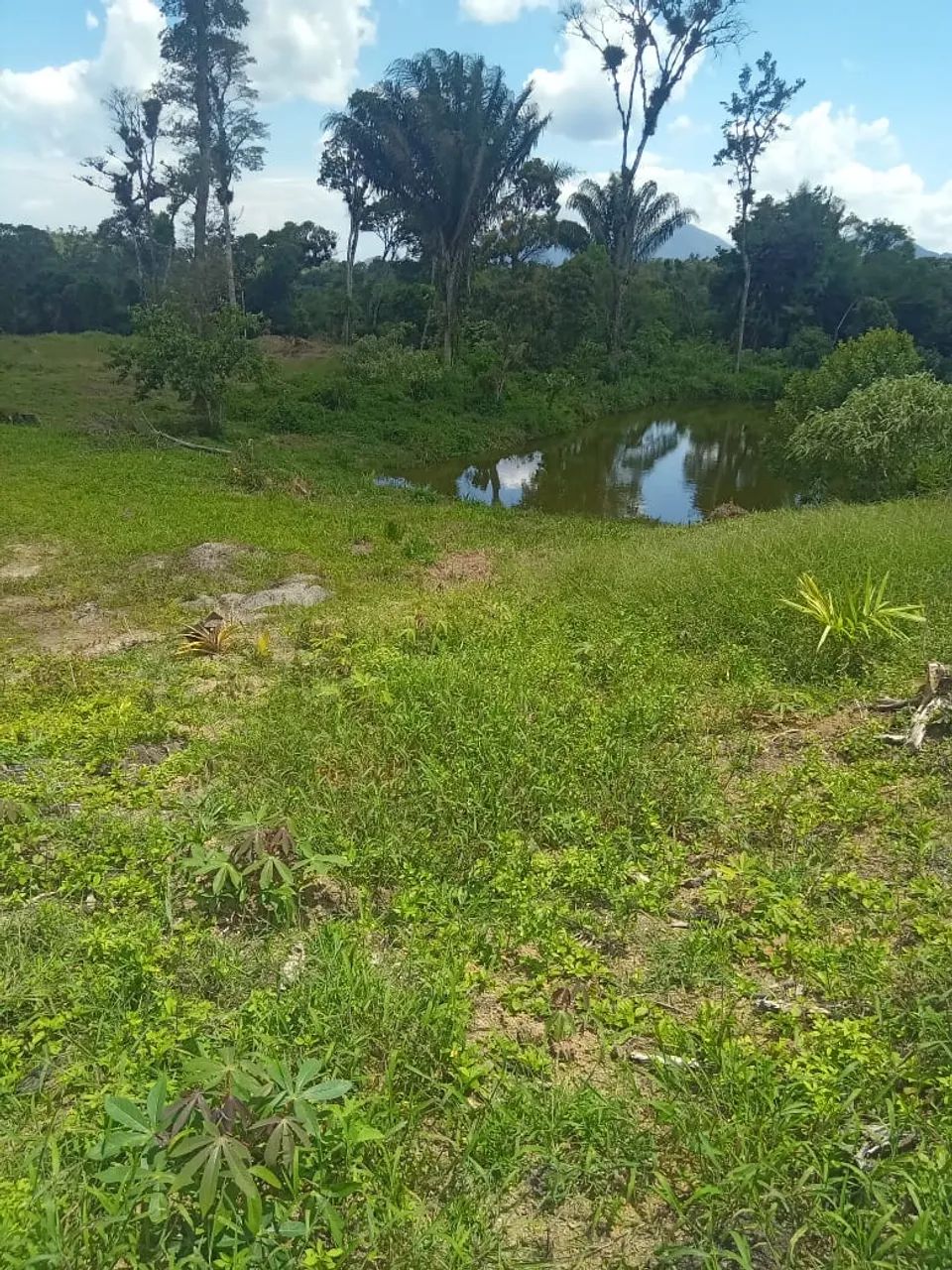 Vendo chácara  - Foto 2