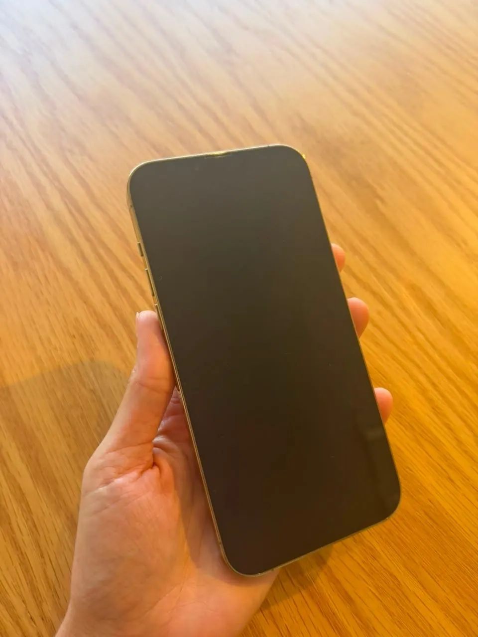  iPhone 13 Pro Max - 256GB - Face ID não funciona - Foto 3