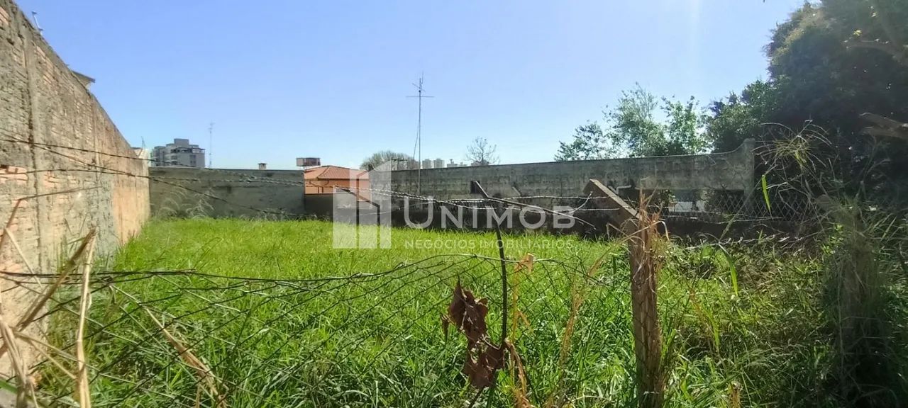 terreno - Nova Campinas - Campinas - Foto 5