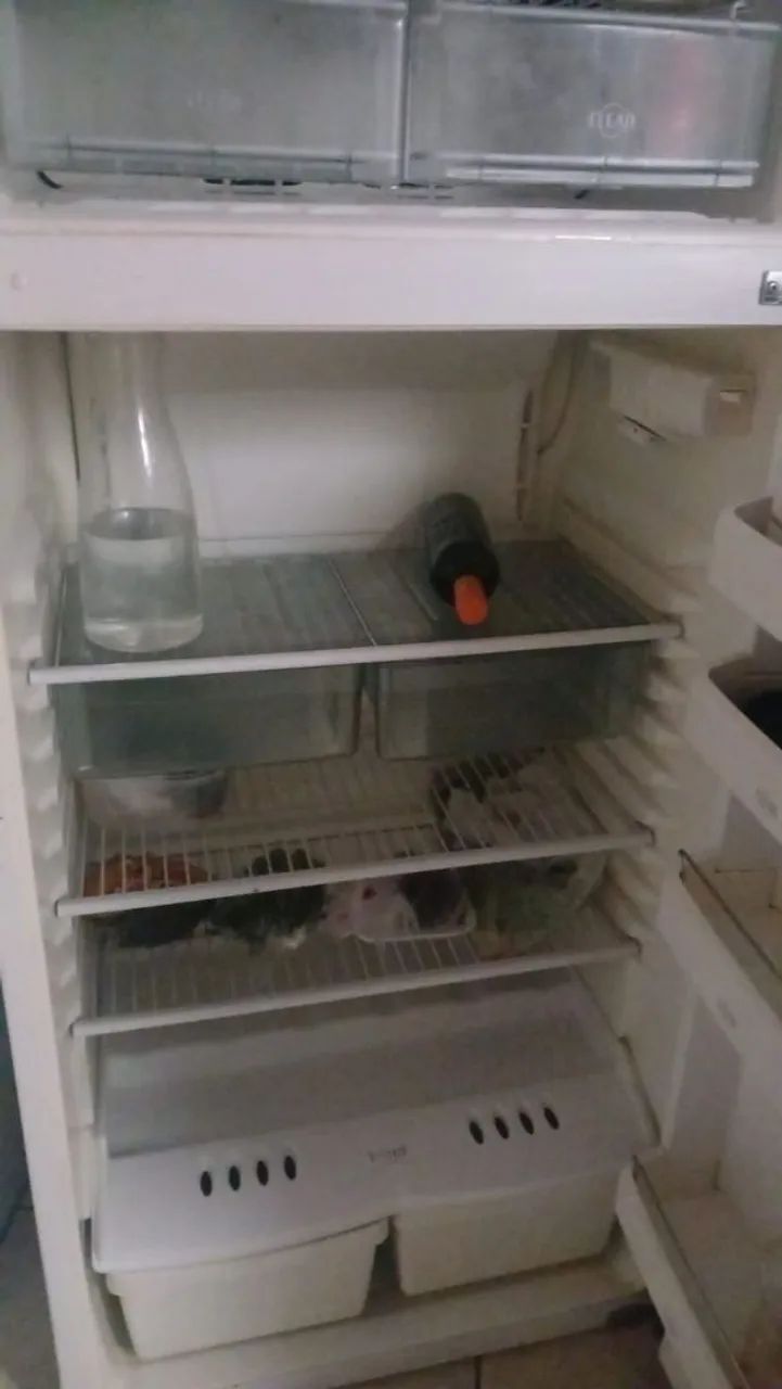 Geladeira  - Foto 4