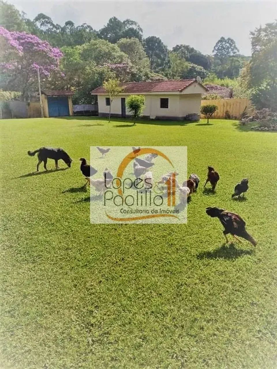 Ótimo Sítio à venda em Mairiporã! - Foto 5