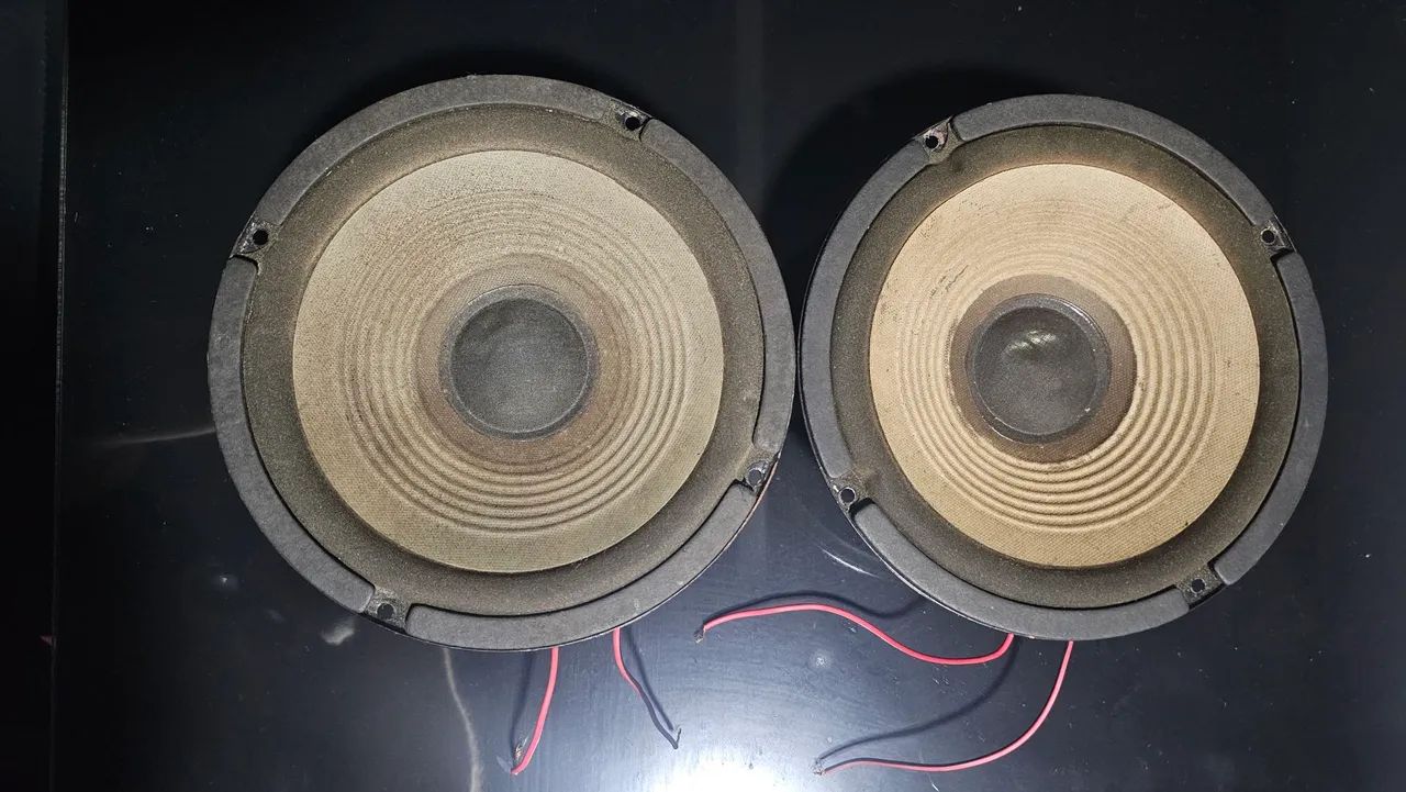 Par Auto Falante 8 polegadas Novik