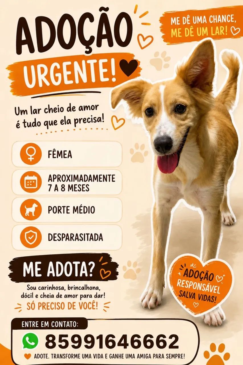 Adoção responsável 