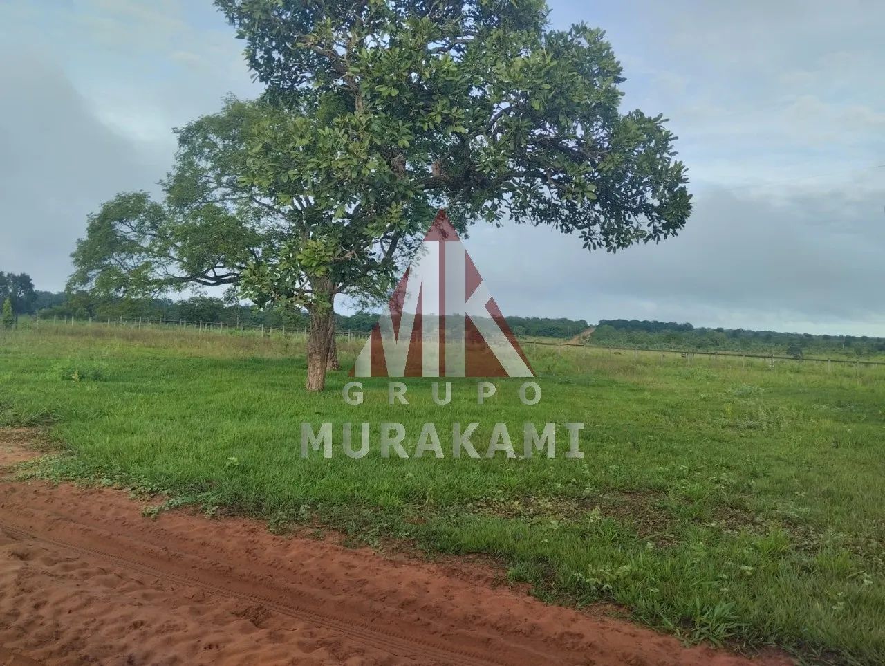 FAZENDA - CAMPO GRANDE - MS - Foto 3