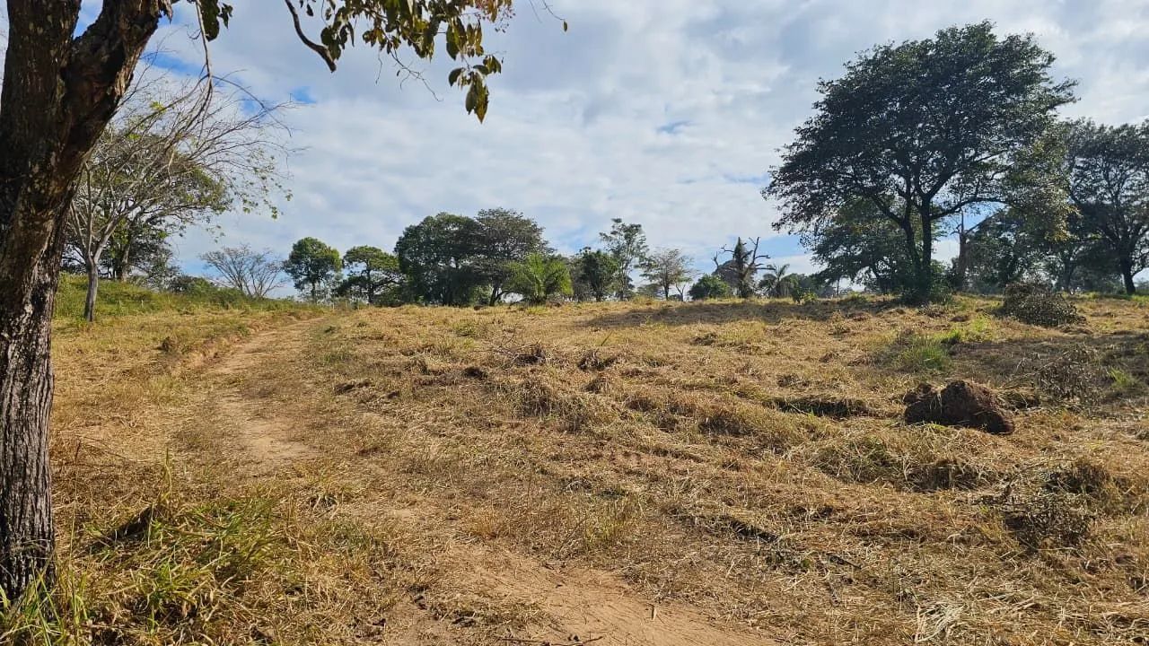 Terreno rural em nova serrana  - Foto 2