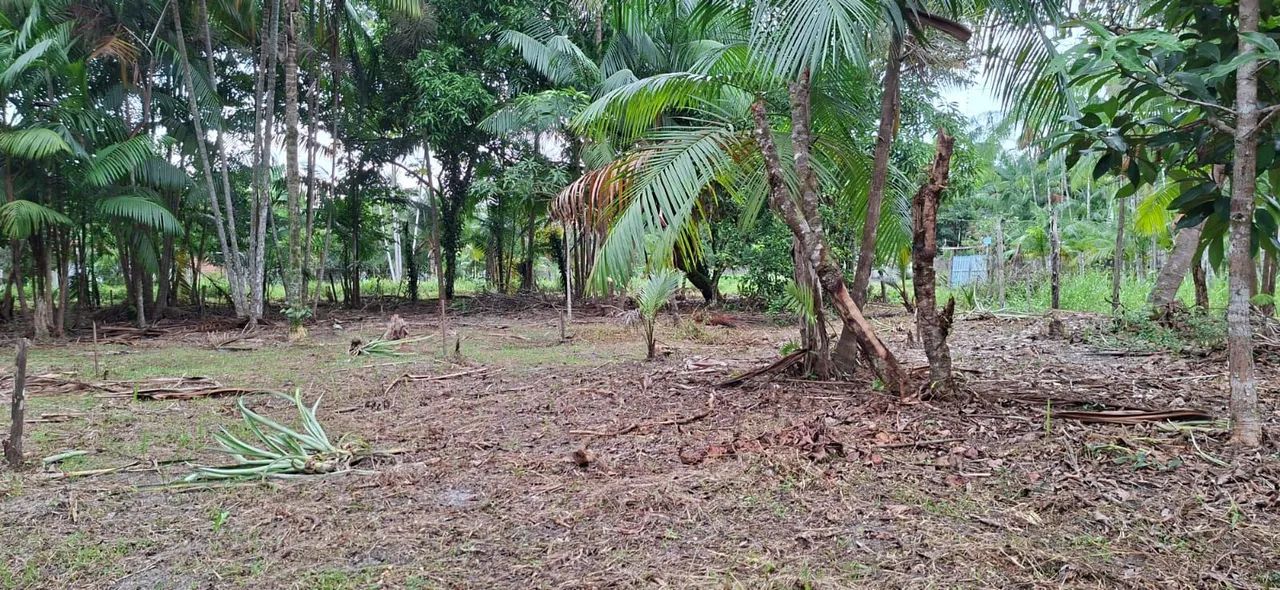Terreno a venda em Benevides  - Foto 3