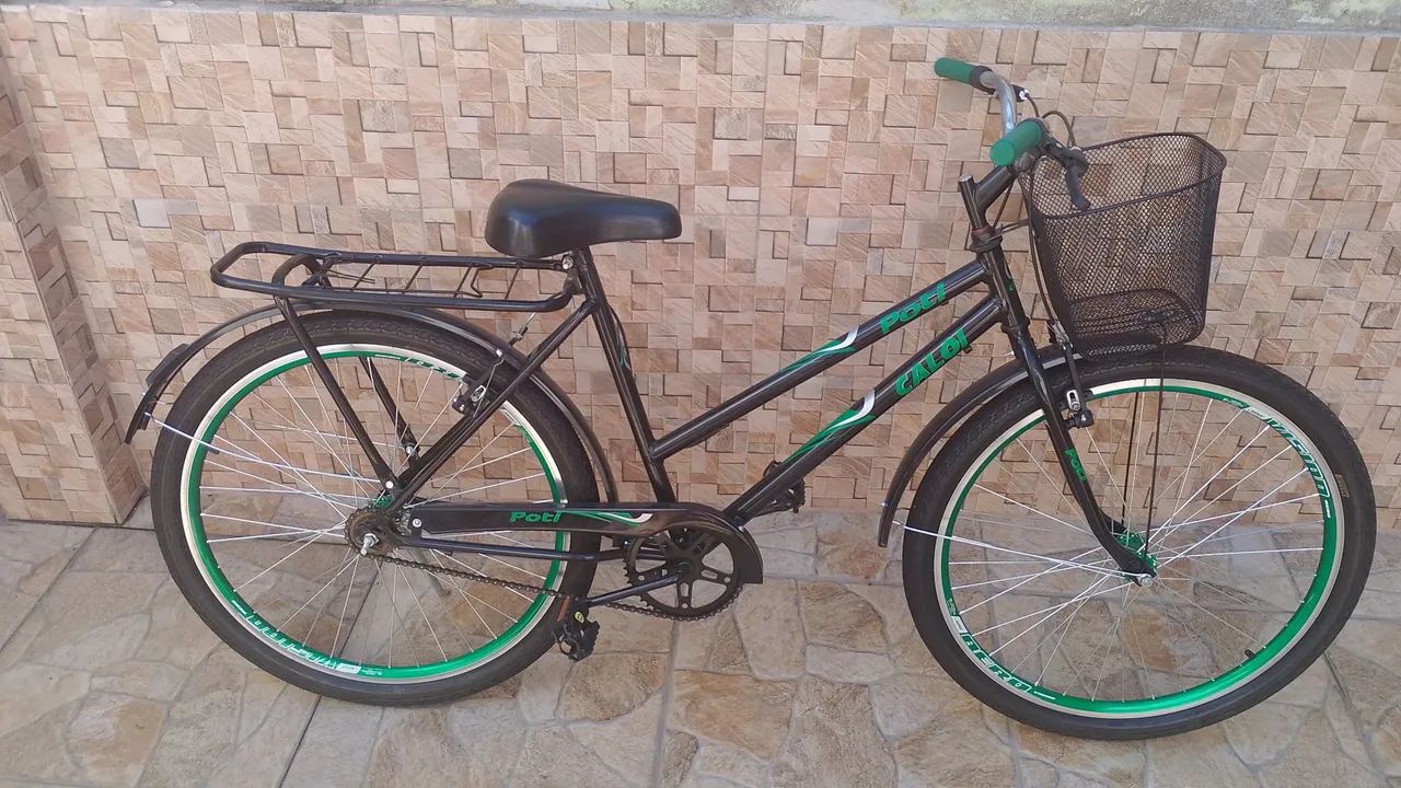 Vendo bicicleta Poti nova 