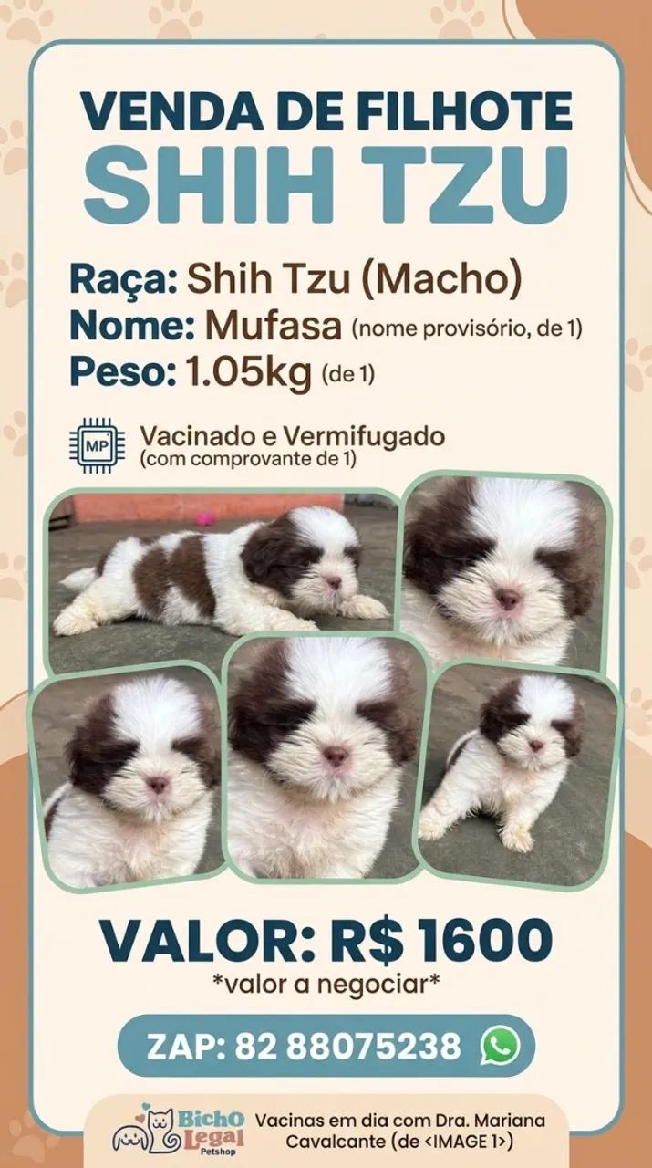 Vendo esse cachorrinho!