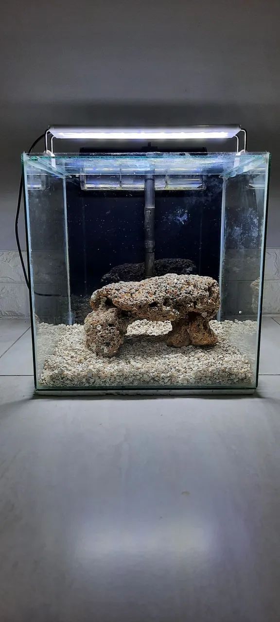 Aquário Cubo Completo 