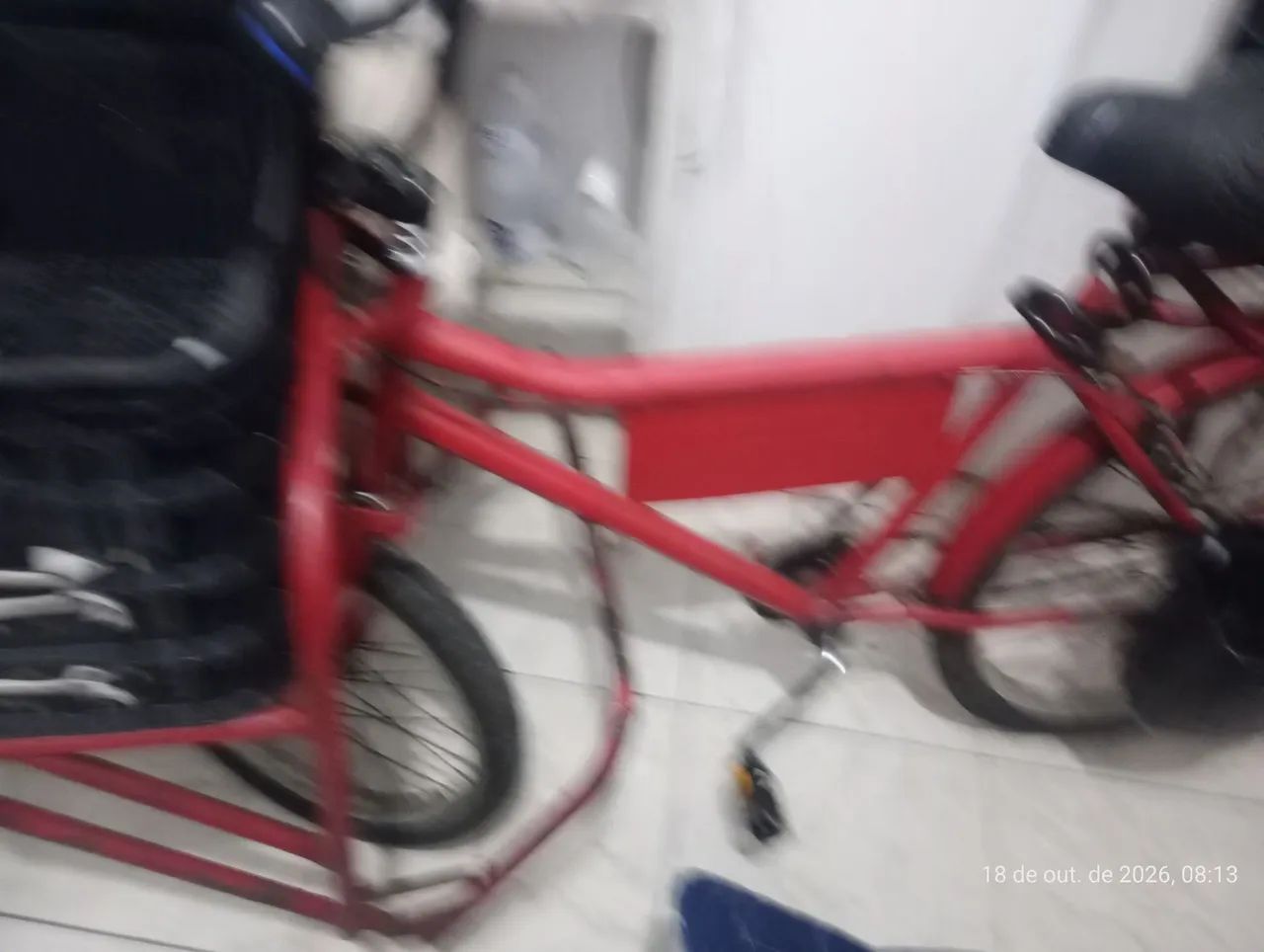 Bicicleta cargueira 