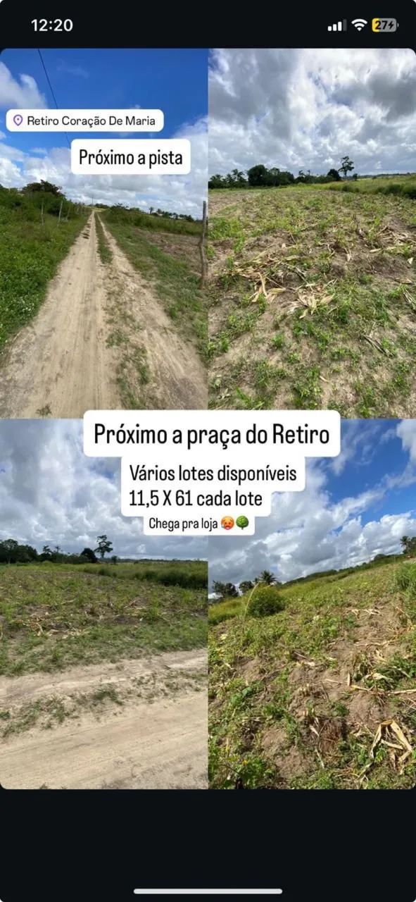 Foto - Coração de Maria - 