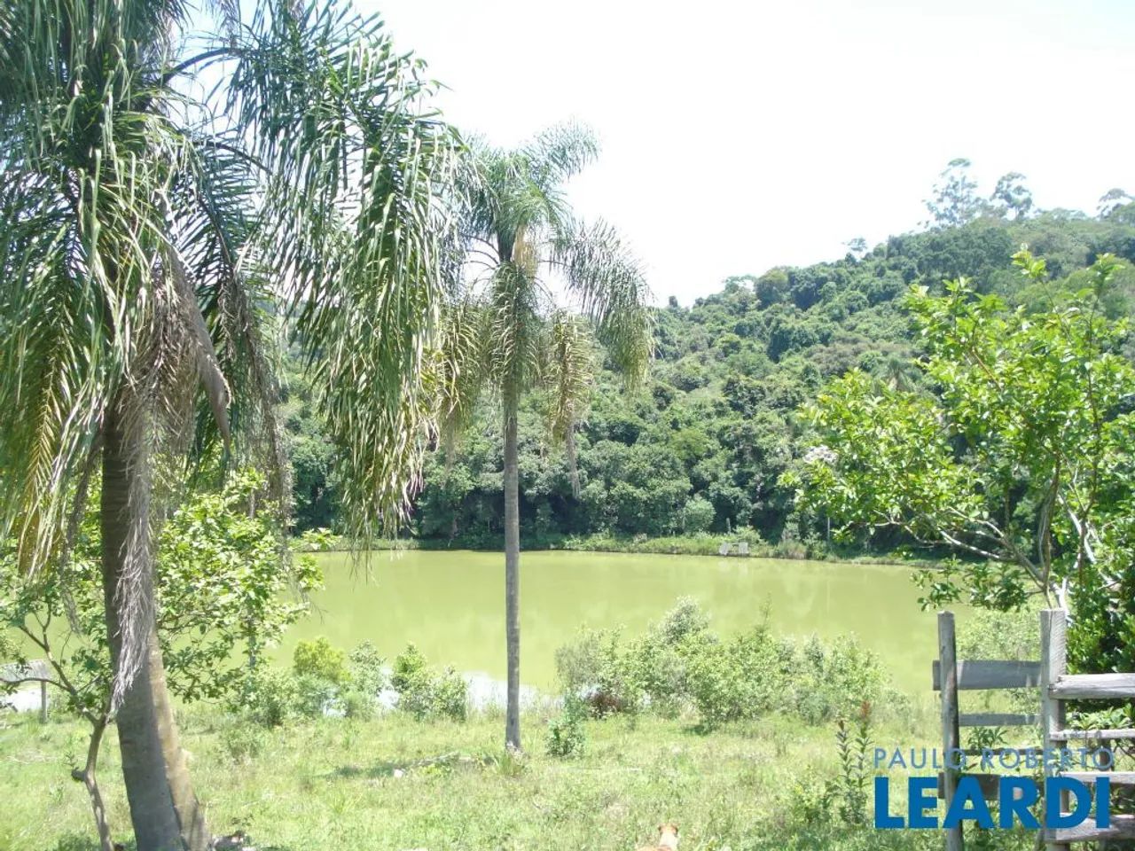 AREA - JARDIM SANTO ANTÔNIO - SP - Foto 2