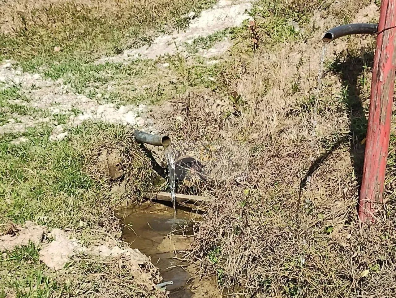 Sítio à Venda em São Luís do Paraitinga  Duas Nascentes e Represas com Peixe - Foto 5