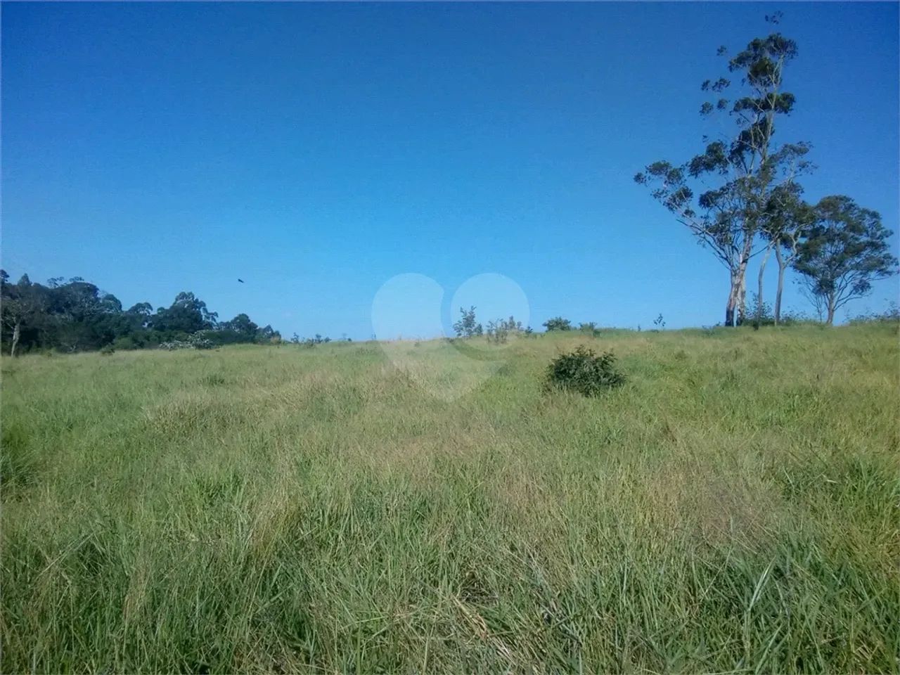 Terreno à venda em Parque olimpico - SP