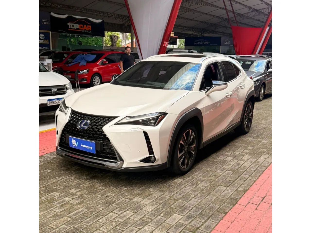 Lexus UX-250h Luxury 2.0 16V Aut.(hybrid), foto 3 de 11