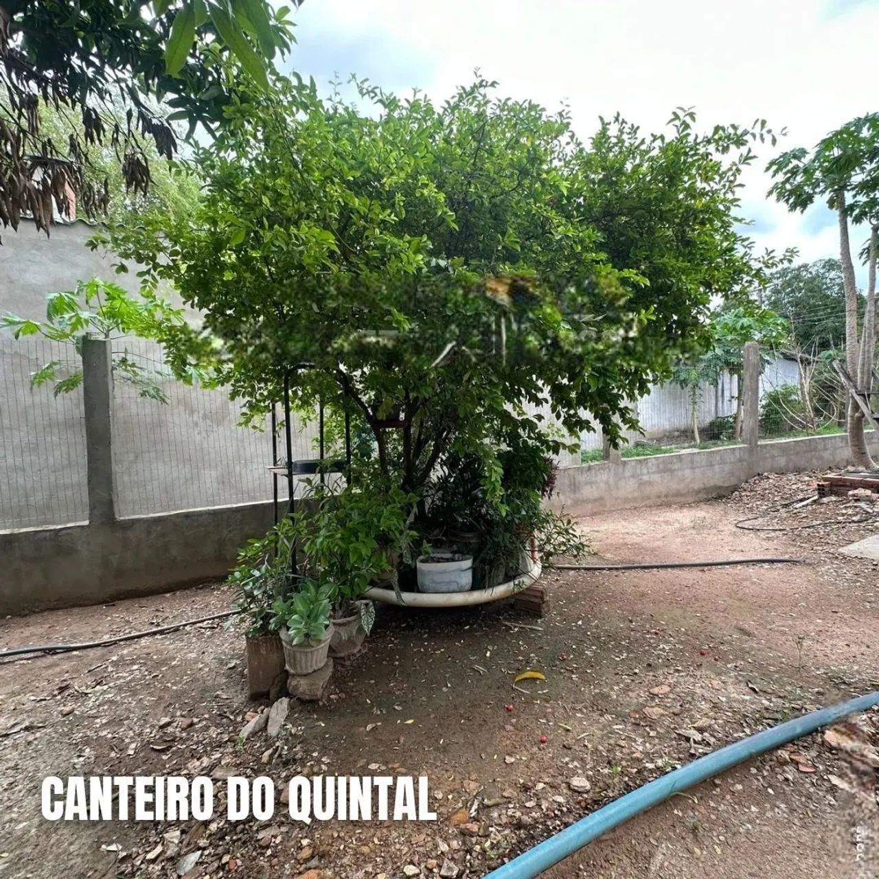 Vendo!!! Uma chácara com 1.700 m² na região do distrito da Guia  Cuiabá/MT - Foto 5