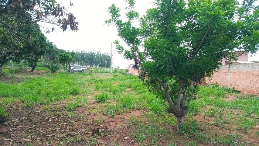 Chácara em Capela do Alto 1100m2 - Foto 4