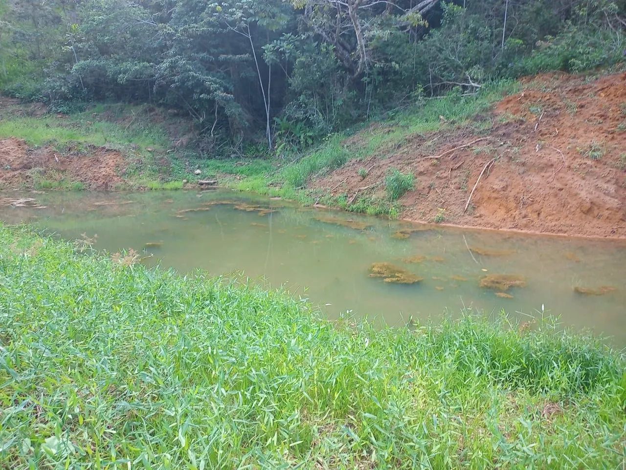 Oportunidade sítio santa Leopoldina  - Foto 2