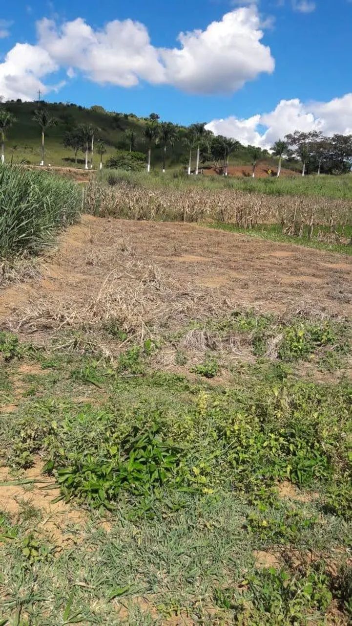 Foto - Peçanha - 