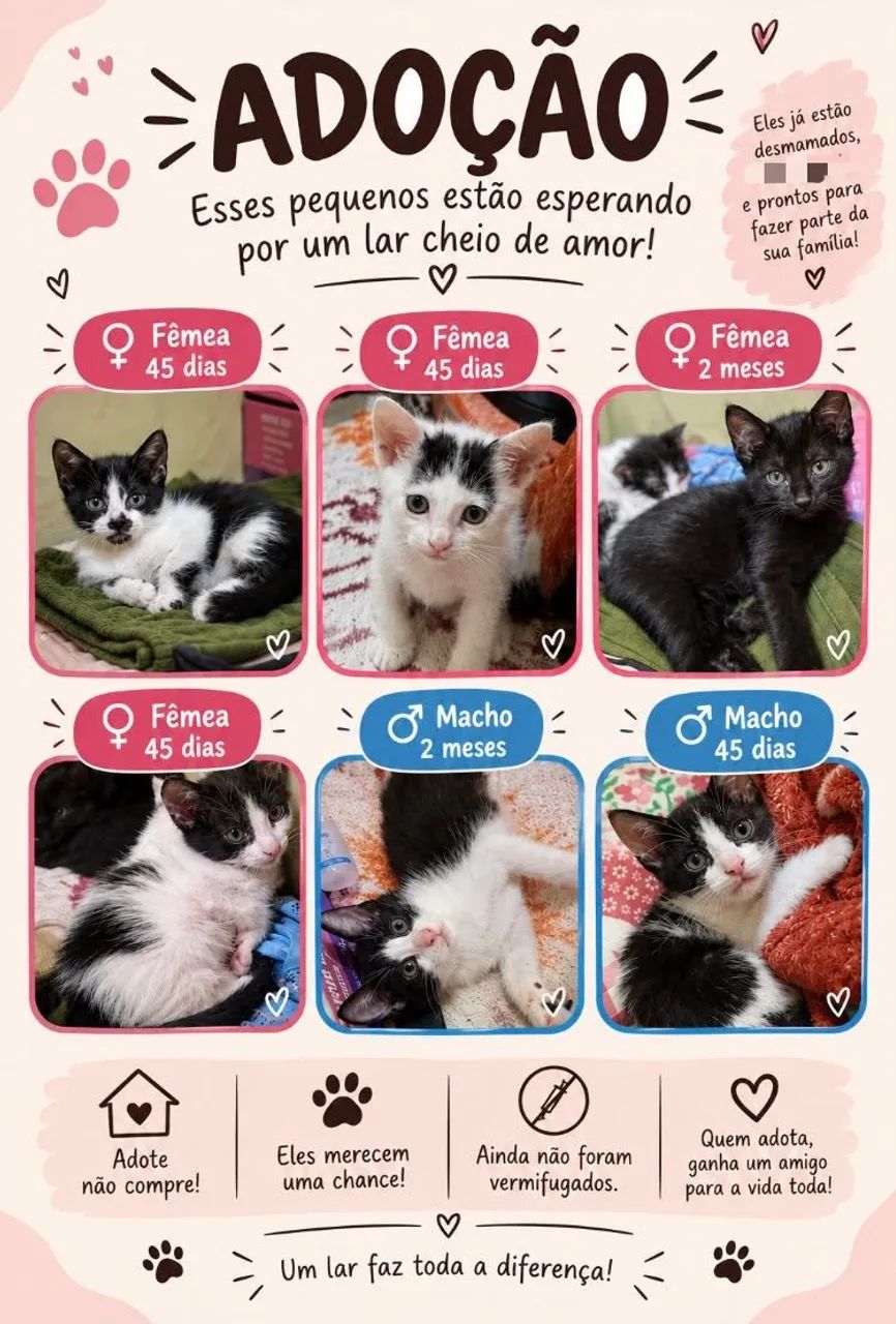 Somente adoção responsável