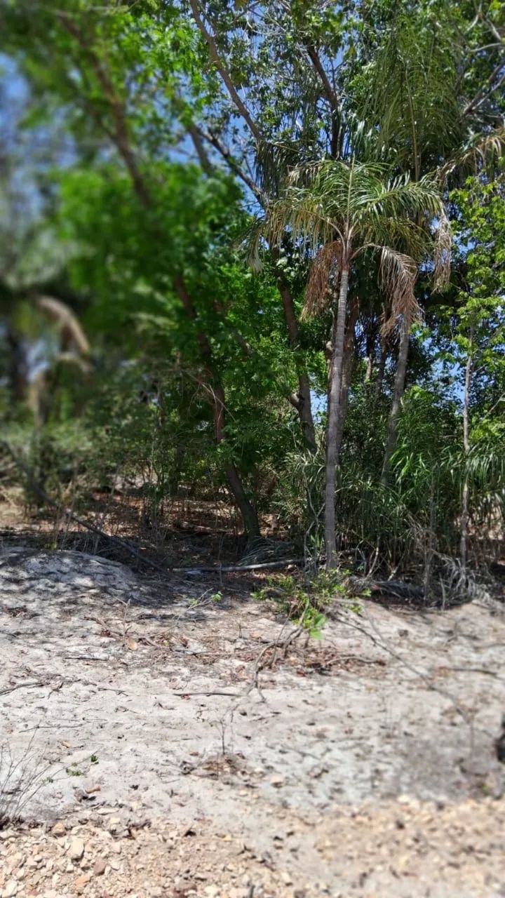 Terreno rural 10x40 metros . Valor R$1.500,00 avista ou 3 vezes no cartão  - Foto 3