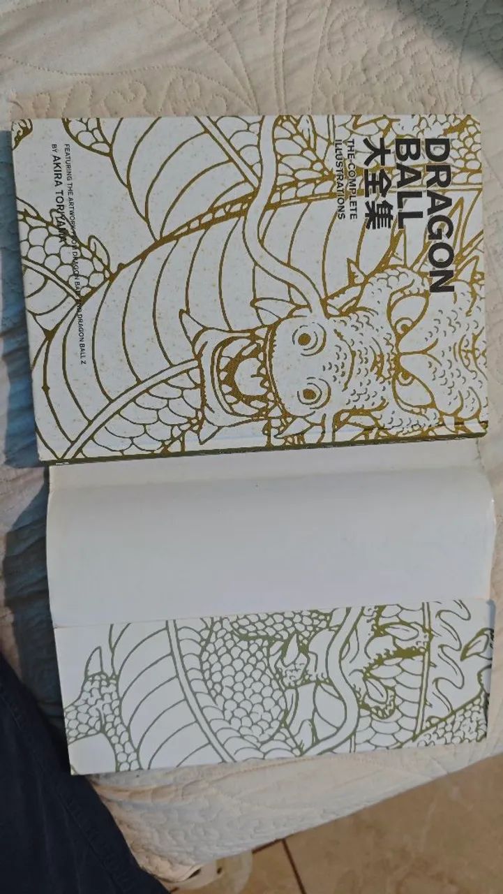 Livro Dragon Ball : The Complete illustrations - Livros e revistas
