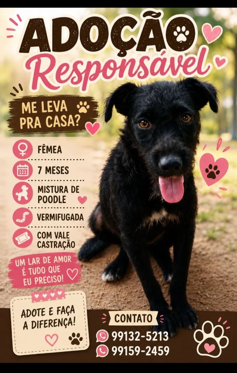 Adoção responsável 