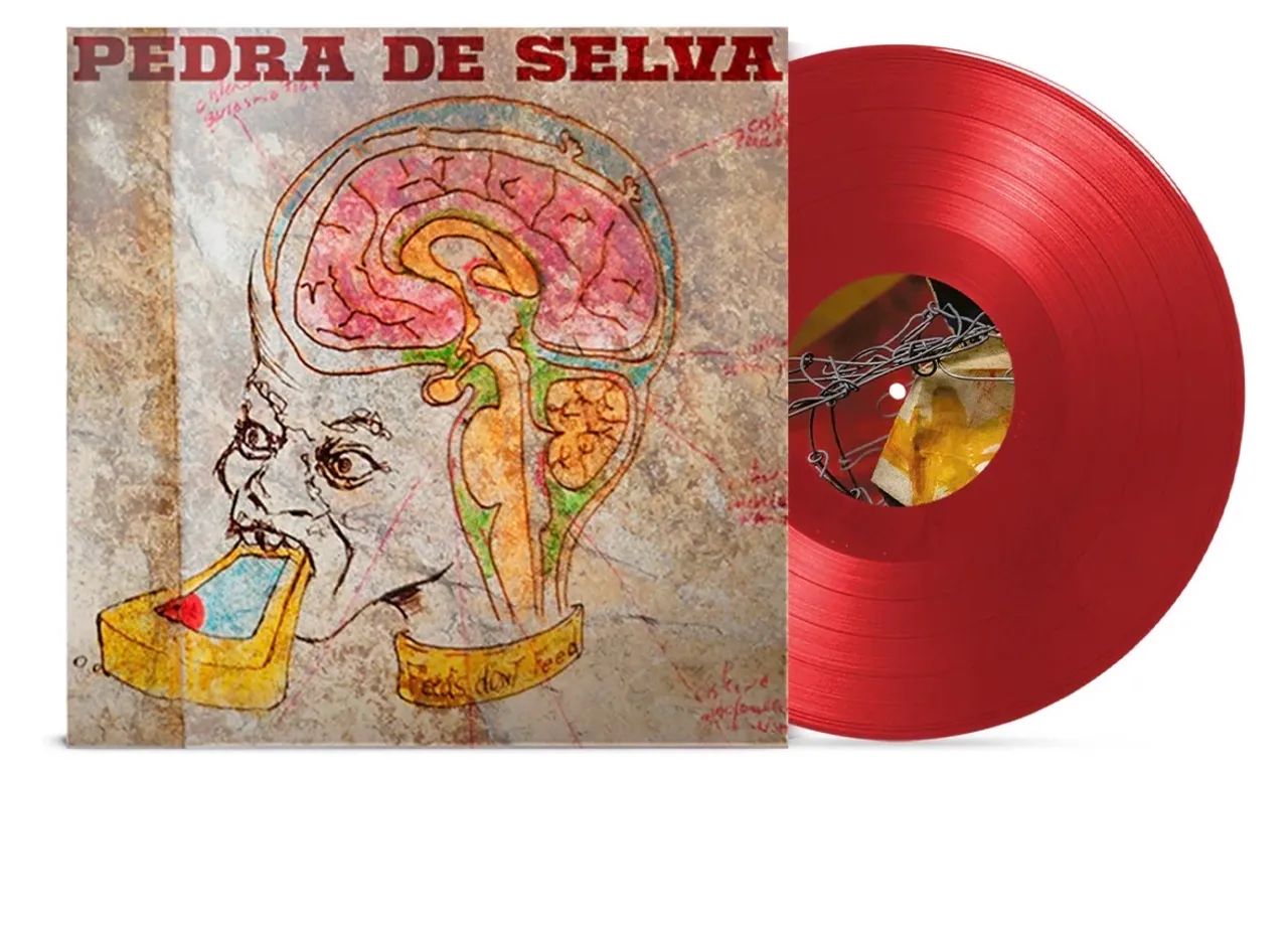 Vinil/LP - CURUMIN - Pedra de Selva - edição noize - lacrado  - Foto 2