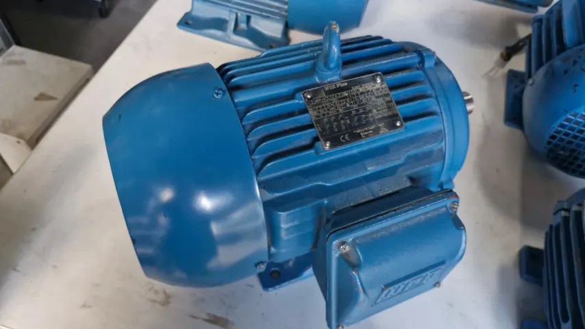 Motor Weg  4cv W22 Plus 