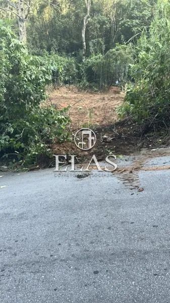 Terreno- Petrópolis, Siméria - Foto 4