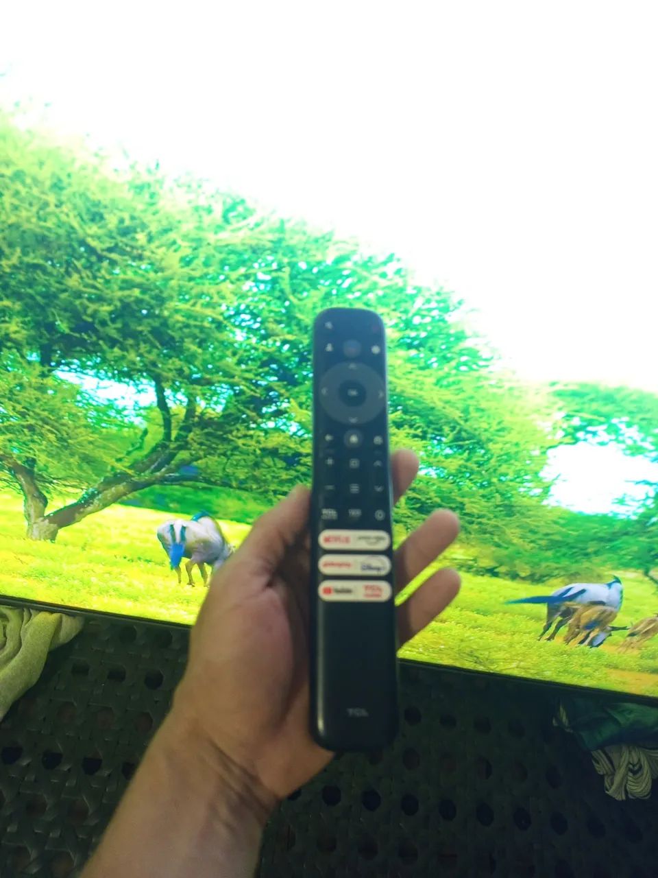 Tv 55 polegadas TCL Qled  - Foto 4