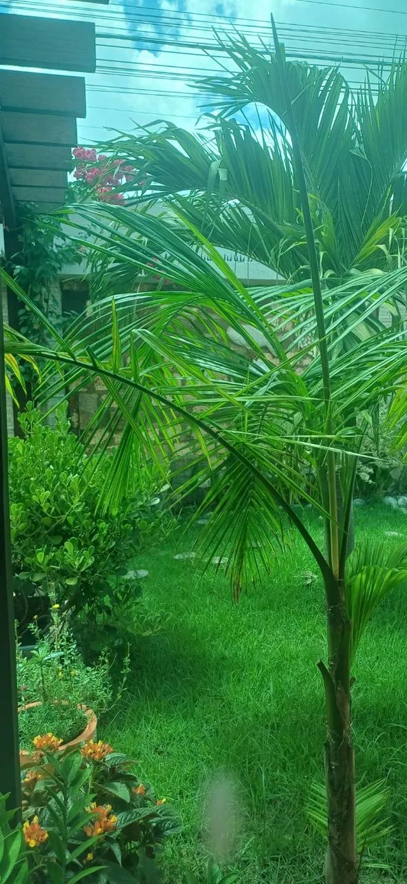 ÁREA RURAL DE TERESINA