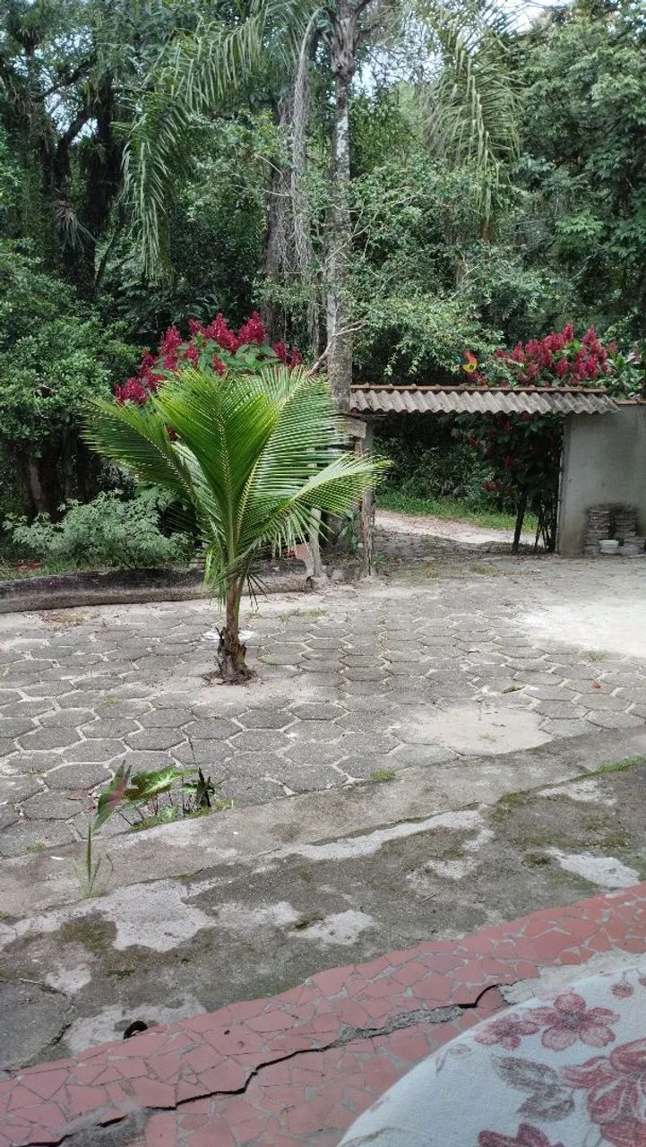 Ocasião  - Foto 2