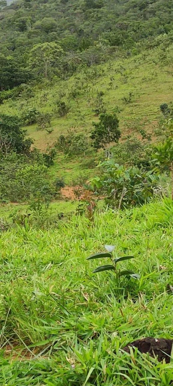 Fazenda em Niquelândia-go - Foto 5