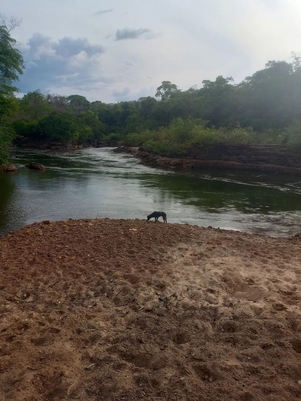 Vendo esta chácara com com acesso a dois rios passando dentro da terra - Foto 3