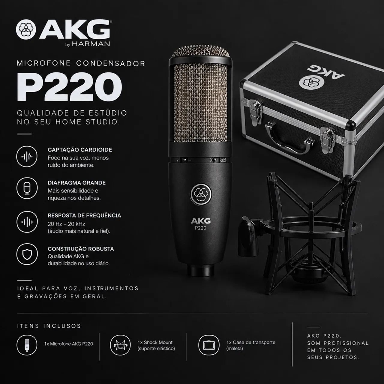 Akg p220