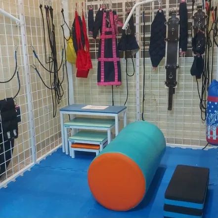 Sala de Clinica para Fisioterapia - Foto 2
