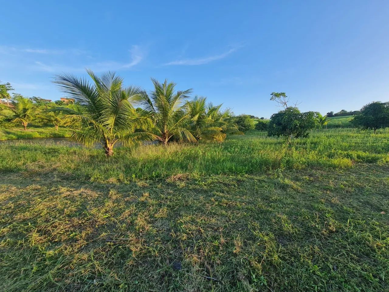 Vendo terreno em trigueiros  - Foto 2