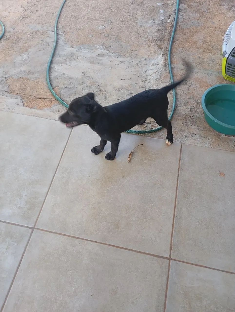 Doação da pipoca - Foto 5