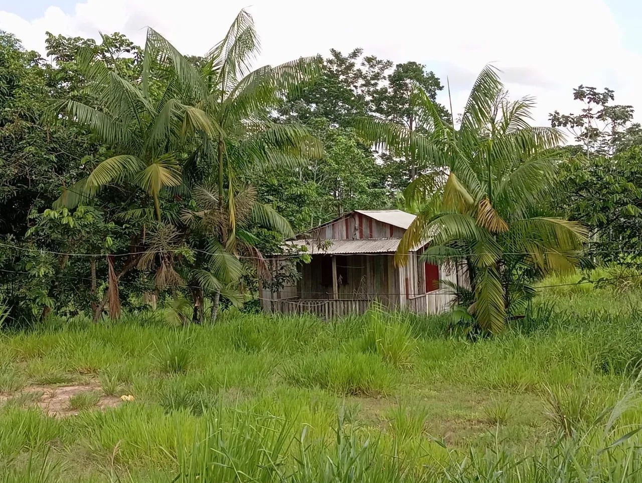 Terreno com casa  - Foto 3