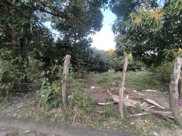 Foto - Viana - Morada Bethânia