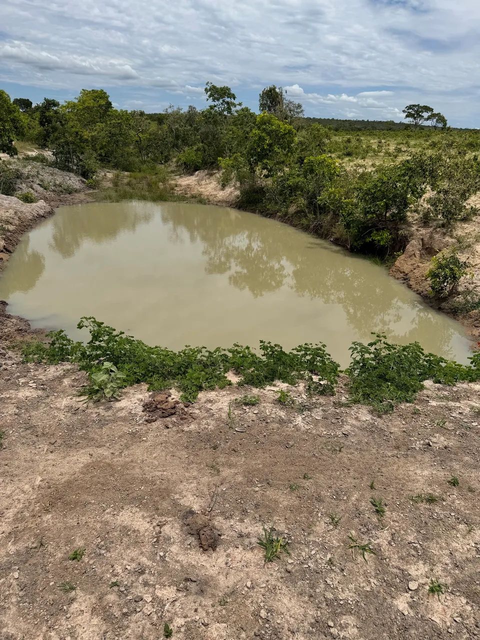 Fazenda norte minas próximo a urucuia e Pintopolis - Foto 3