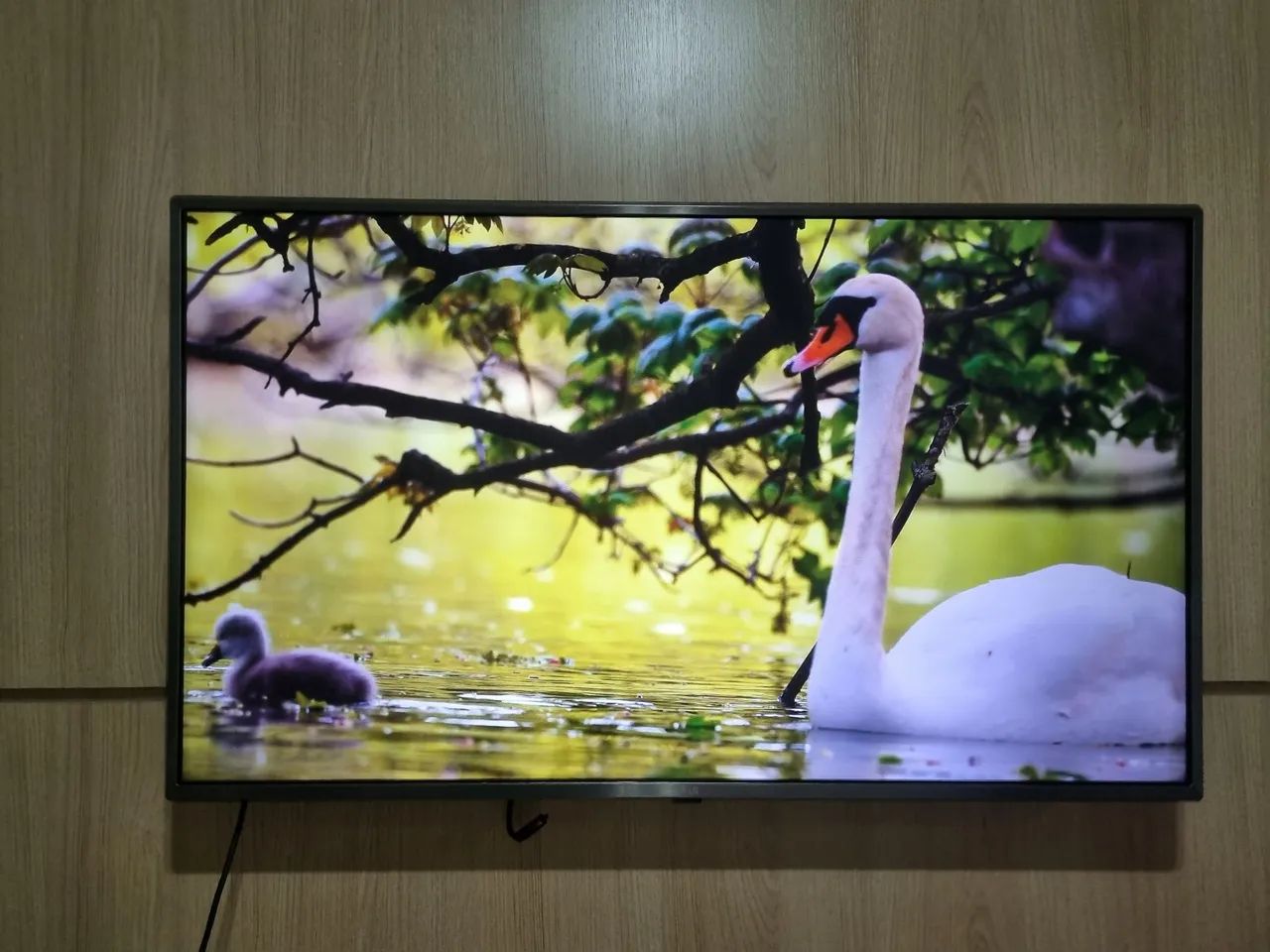 TV LG Smart 43 polegadas 4k