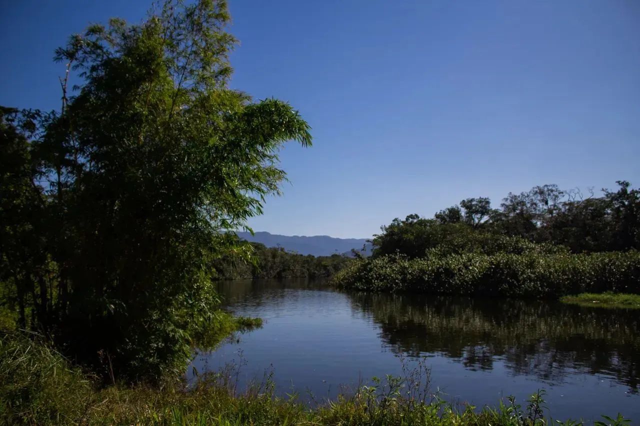 Lote/Terreno para venda possui 360 metros quadrados em Jardim Coronel - Itanhaém - São Pau - Foto 6