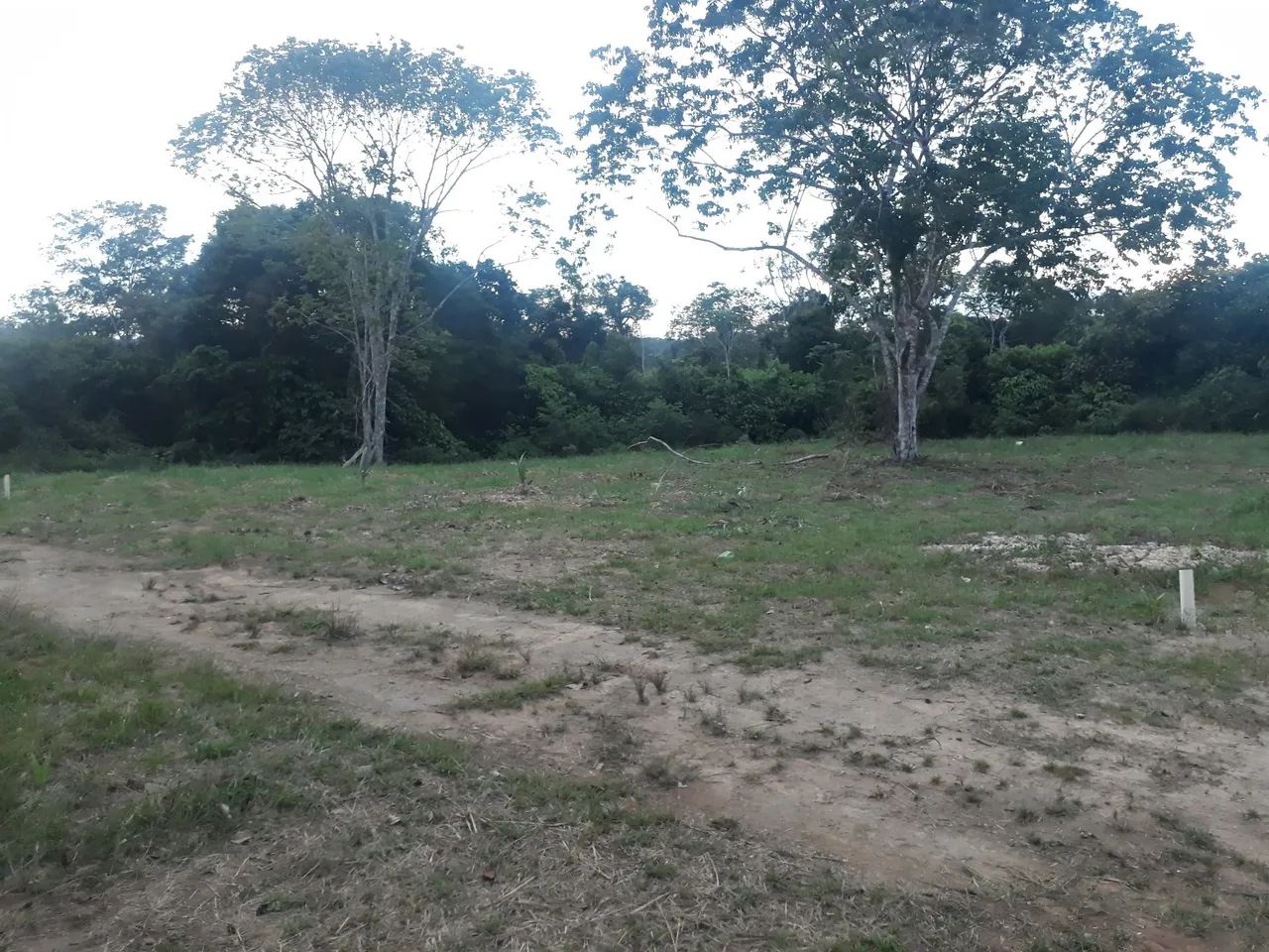 *TERRO IRANDUBA RAMAL SANTO ANTÔNIO  - Foto 2