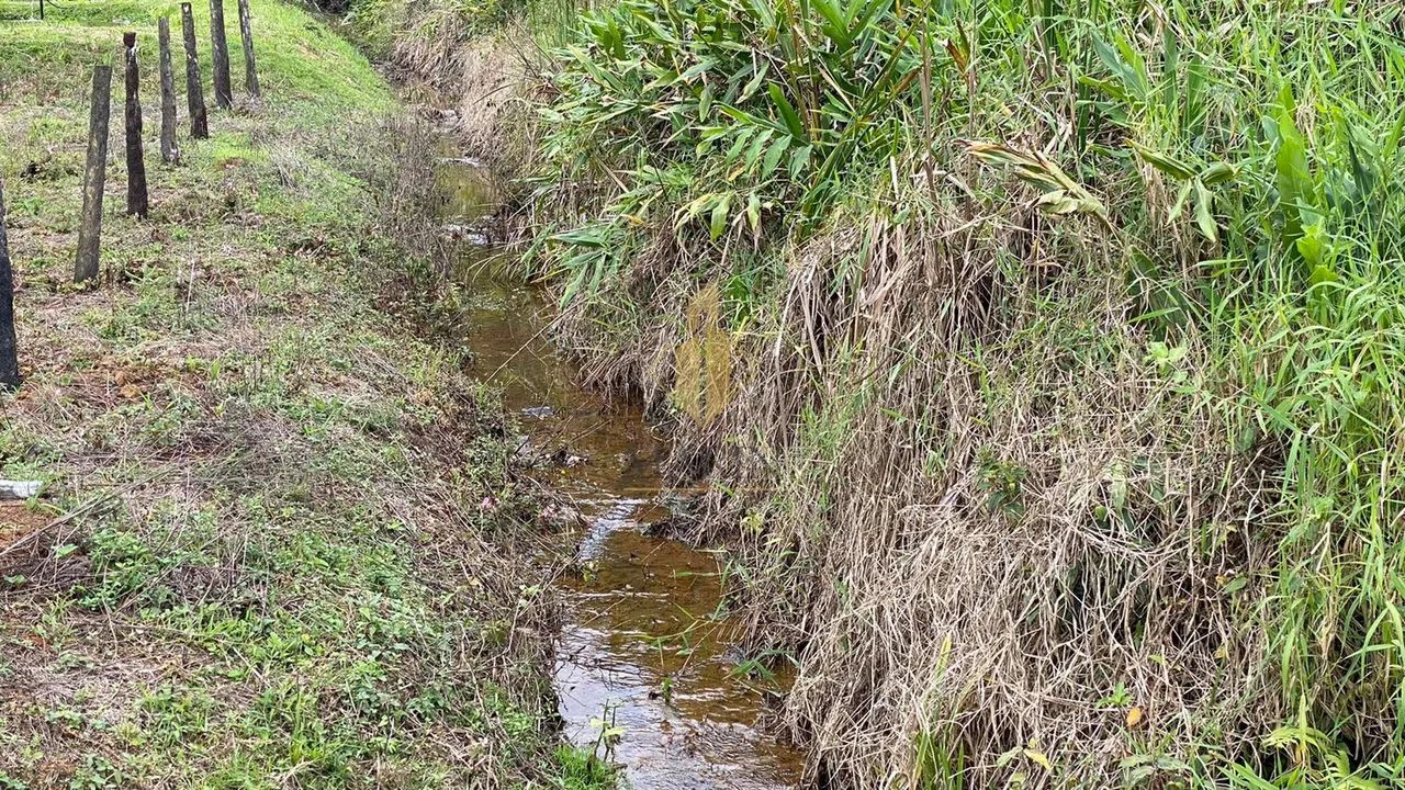 Área para gado em Luiz Alves/SC - Foto 4