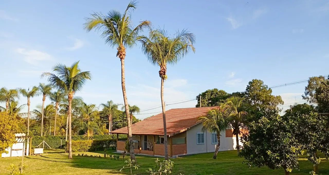 Foto - Santa Maria da Serra - Área Rural de Santa Maria da Serra