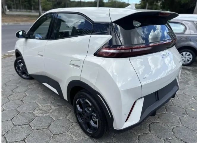 BYD Dolphin Mini GL 2027 - Foto 2