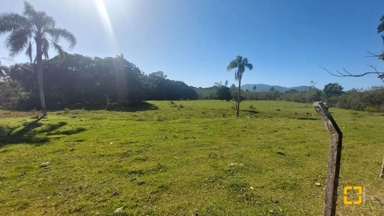 Terreno Comercial em Campeche - Foto 3
