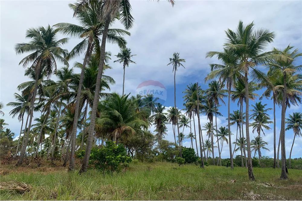 Terreno Imperdível em Tamandaré - 3942m²